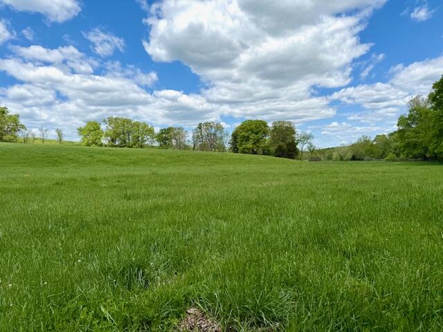 8493 Plum Valley Road Property Photo 21