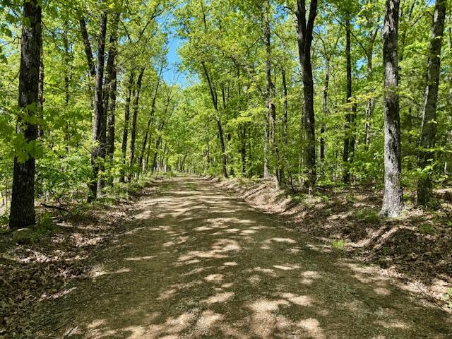 8493 Plum Valley Road Property Photo 24