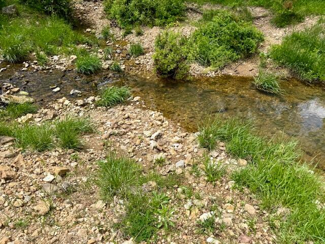 8493 Plum Valley Road Property Photo 29