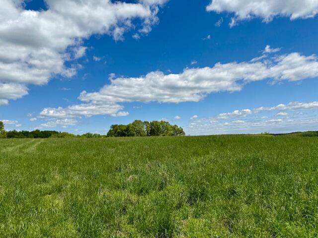 8493 Plum Valley Road Property Photo 34