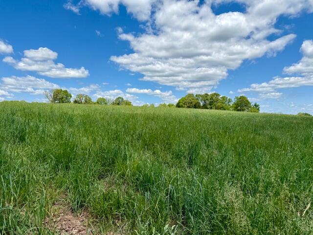 8493 Plum Valley Road Property Photo 37