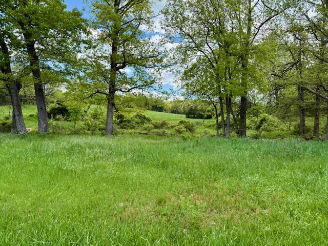 8493 Plum Valley Road Property Photo 43