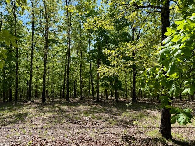 8493 Plum Valley Road Property Photo 44
