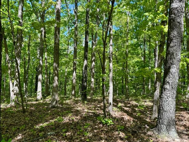 8493 Plum Valley Road Property Photo 45