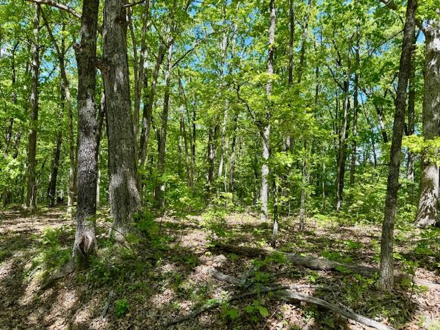 8493 Plum Valley Road Property Photo 48