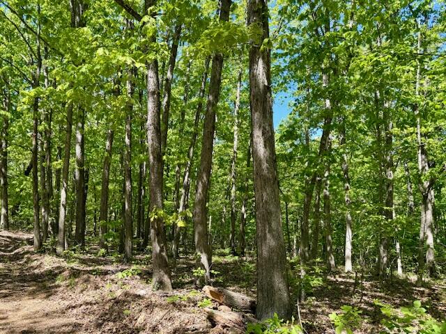 8493 Plum Valley Road Property Photo 49