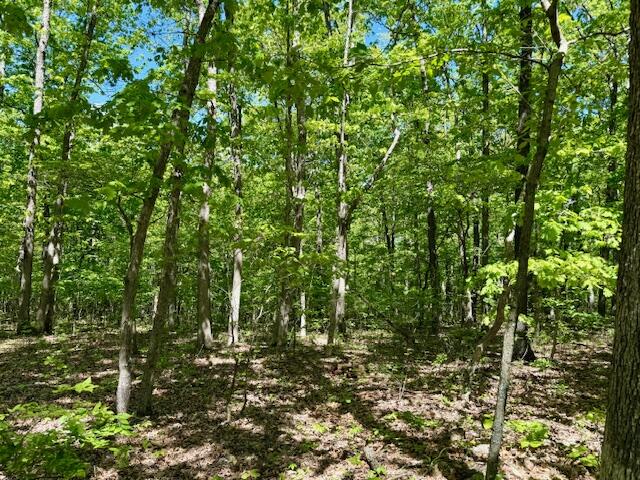 8493 Plum Valley Road Property Photo 50