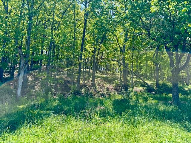 8493 Plum Valley Road Property Photo 52