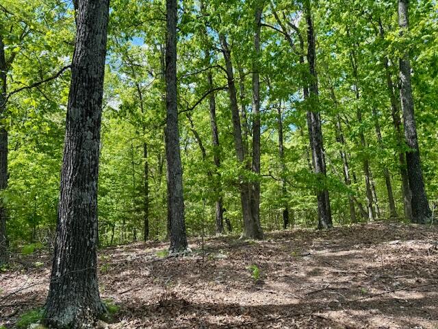 8493 Plum Valley Road Property Photo 62