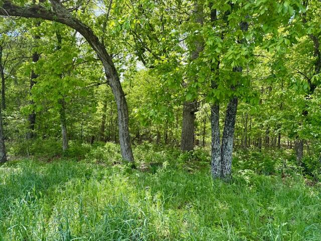 8493 Plum Valley Road Property Photo 63