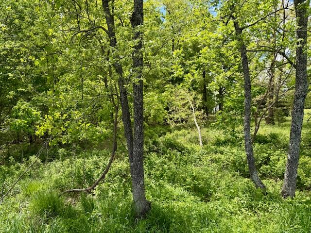 8493 Plum Valley Road Property Photo 64
