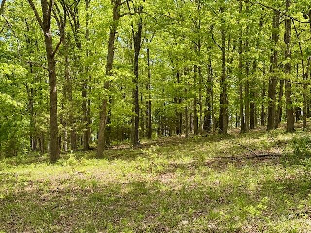 8493 Plum Valley Road Property Photo 65