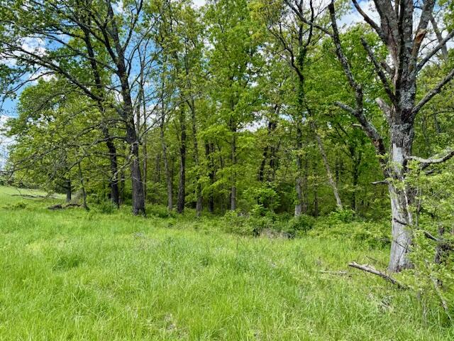 8493 Plum Valley Road Property Photo 66