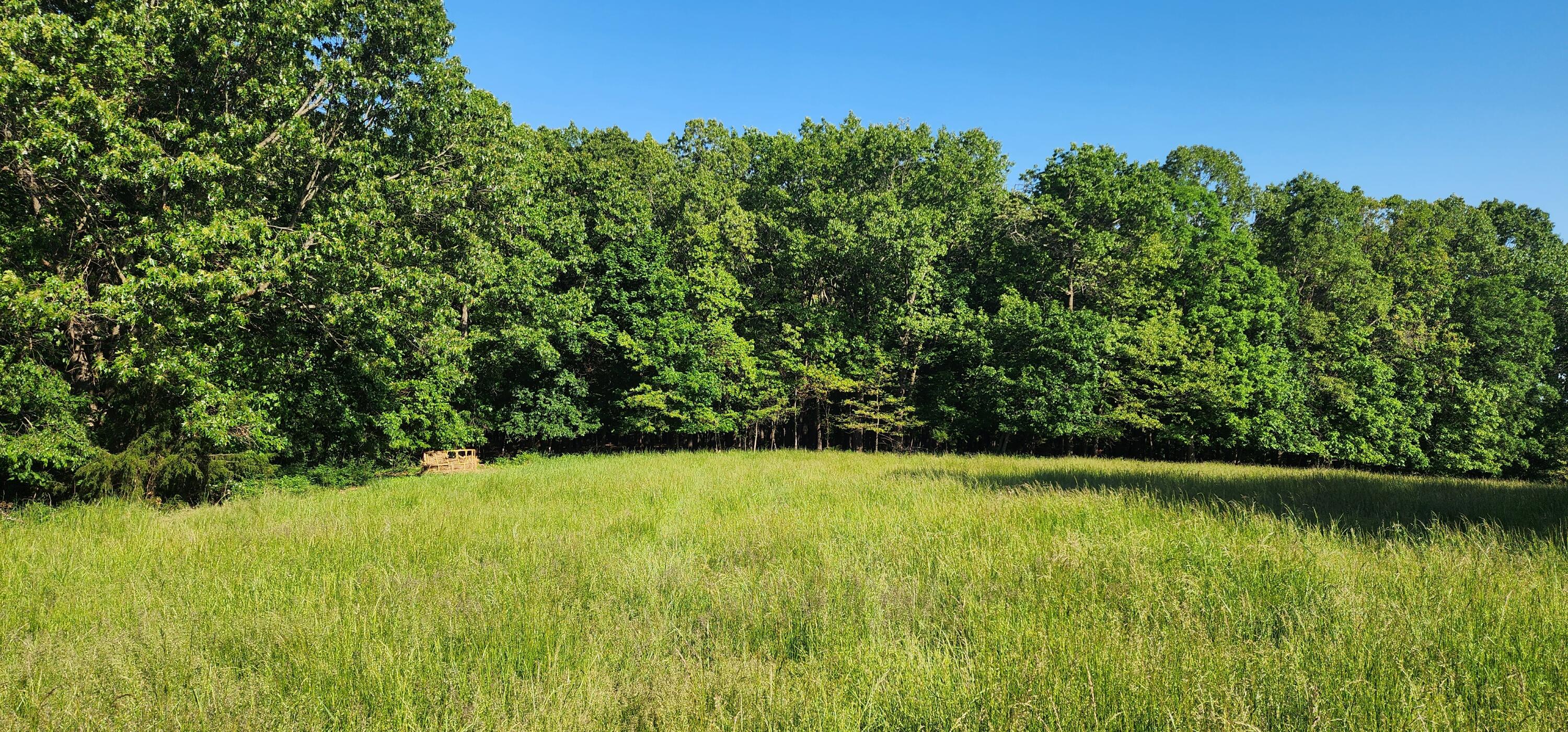 000 Farm Road 2160 Property Photo 3