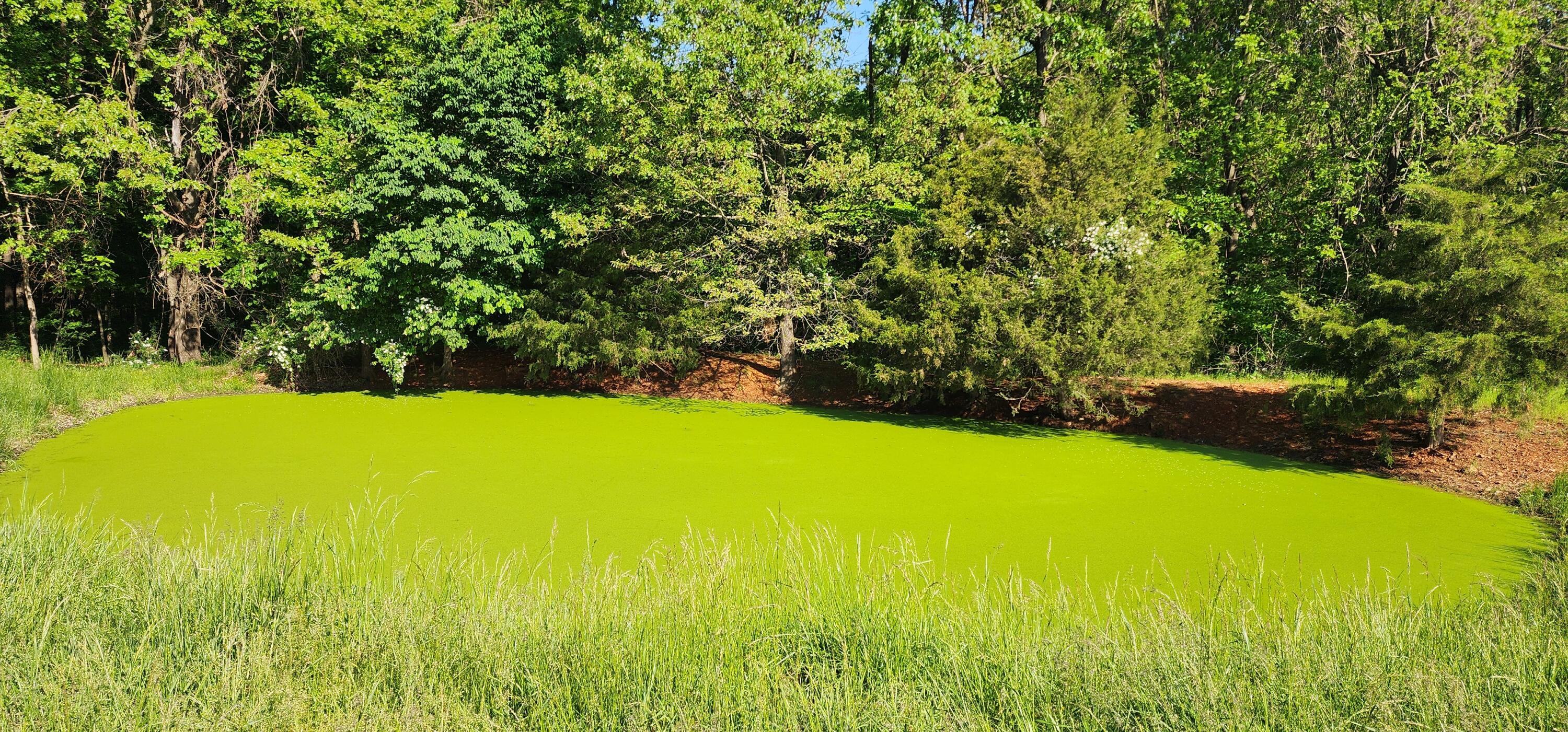 000 Farm Road 2160 Property Photo 4