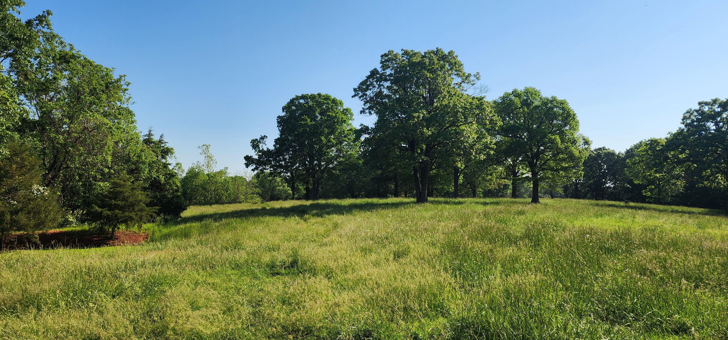 000 Farm Road 2160 Property Photo 5