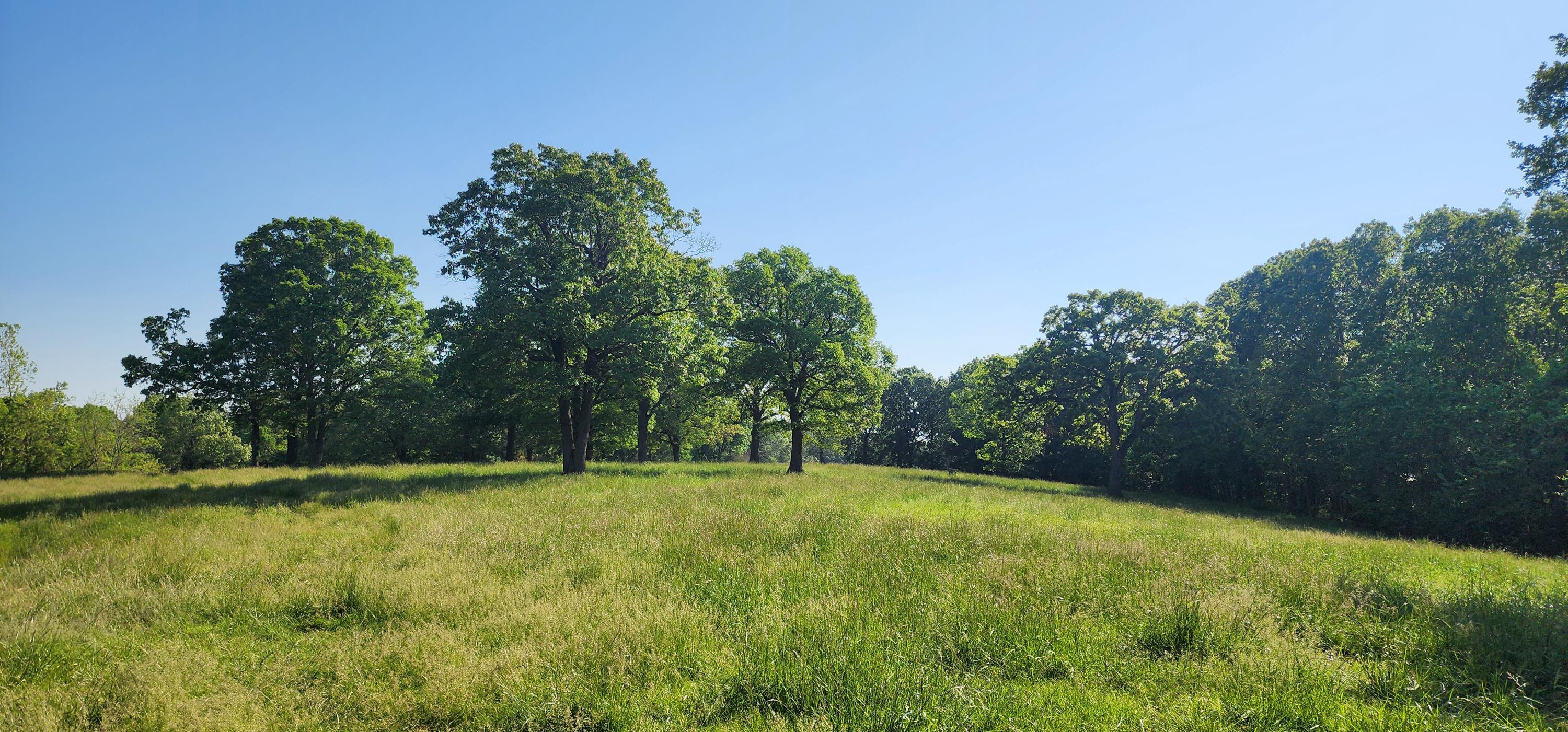 000 Farm Road 2160 Property Photo 6