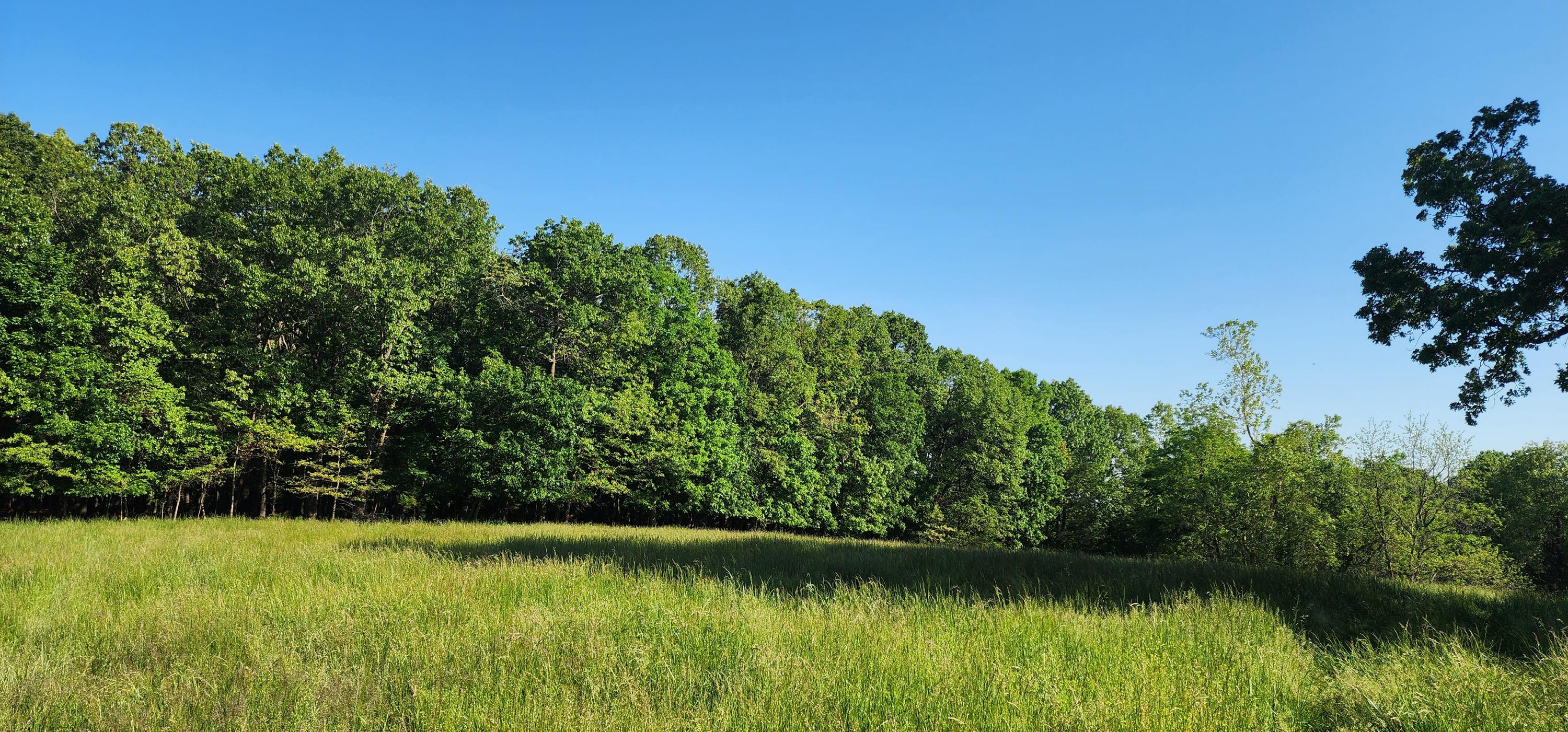 000 Farm Road 2160 Property Photo 7
