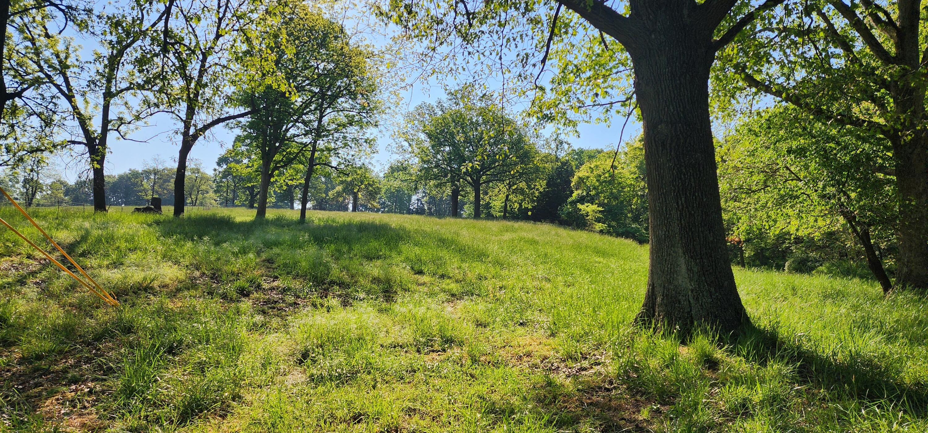 000 Farm Road 2160 Property Photo 8