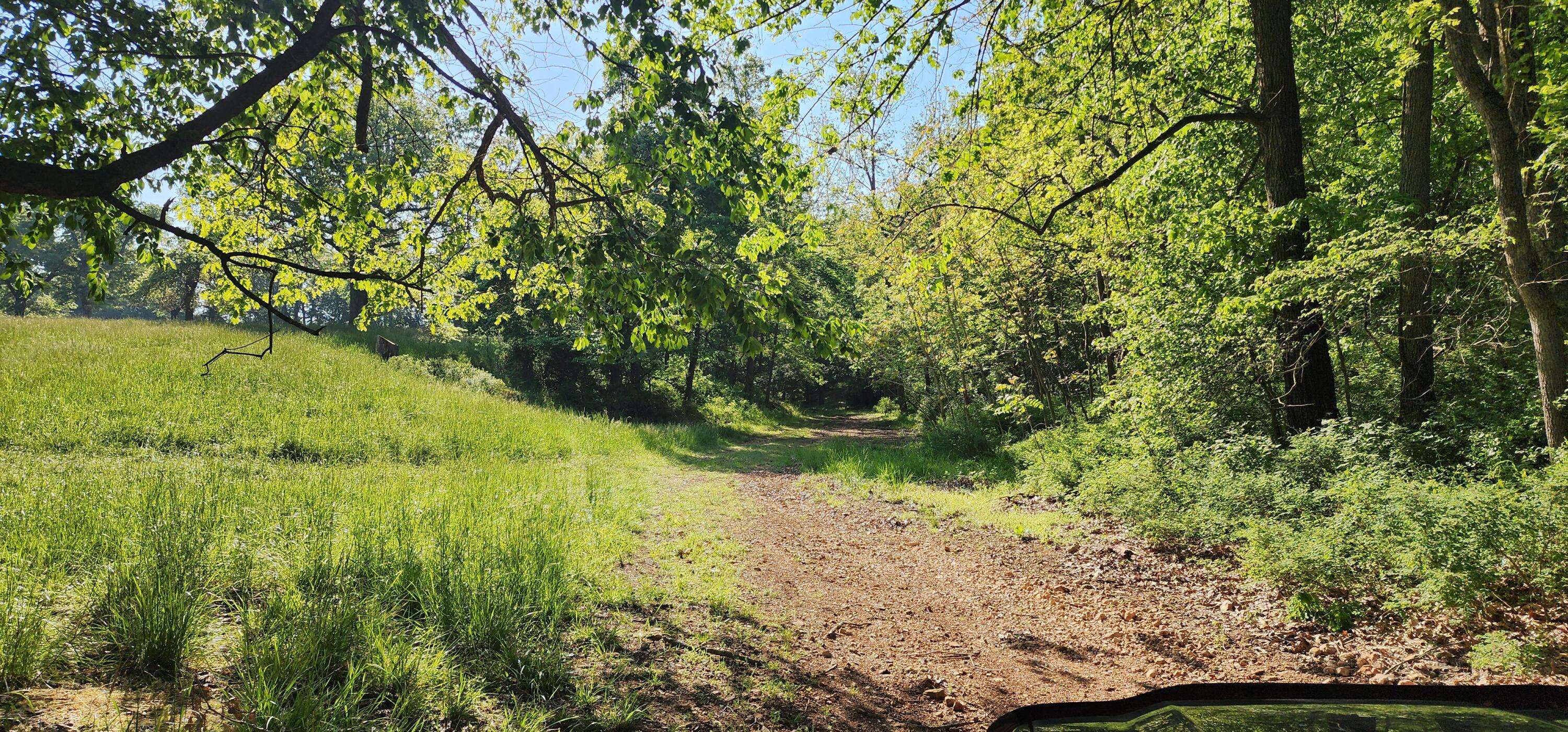 000 Farm Road 2160 Property Photo 9