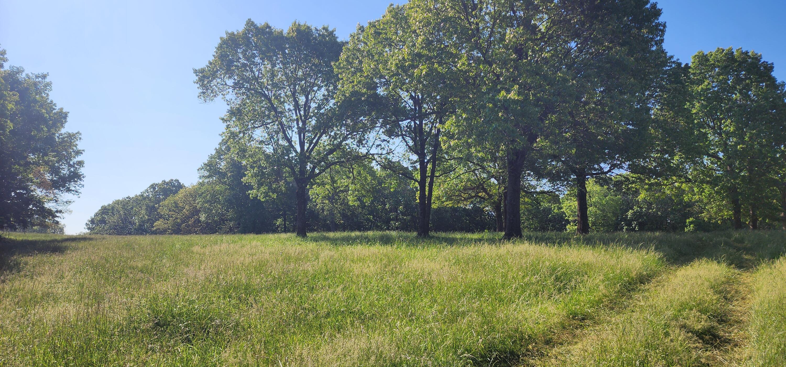 000 Farm Road 2160 Property Photo 10