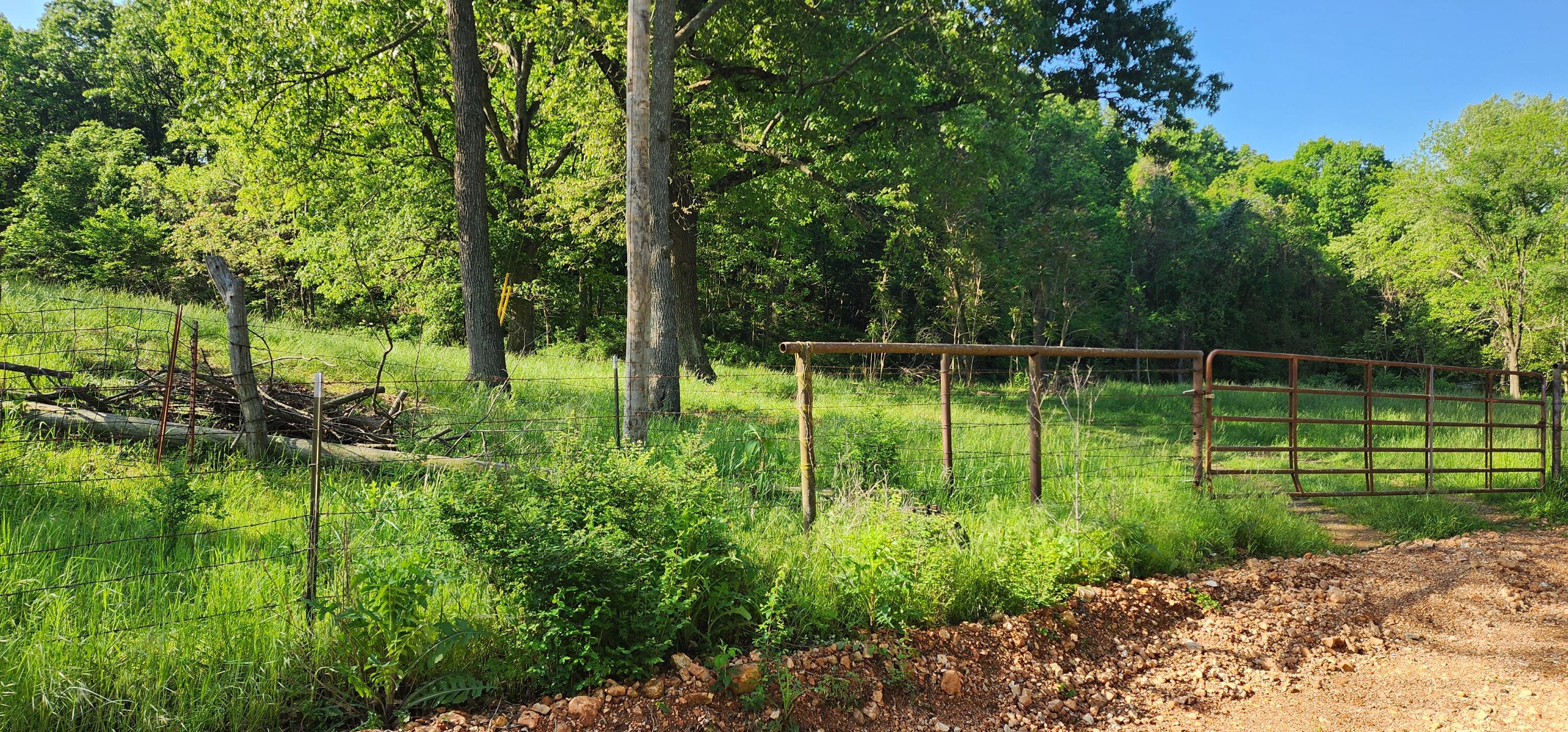 000 Farm Road 2160 Property Photo 13