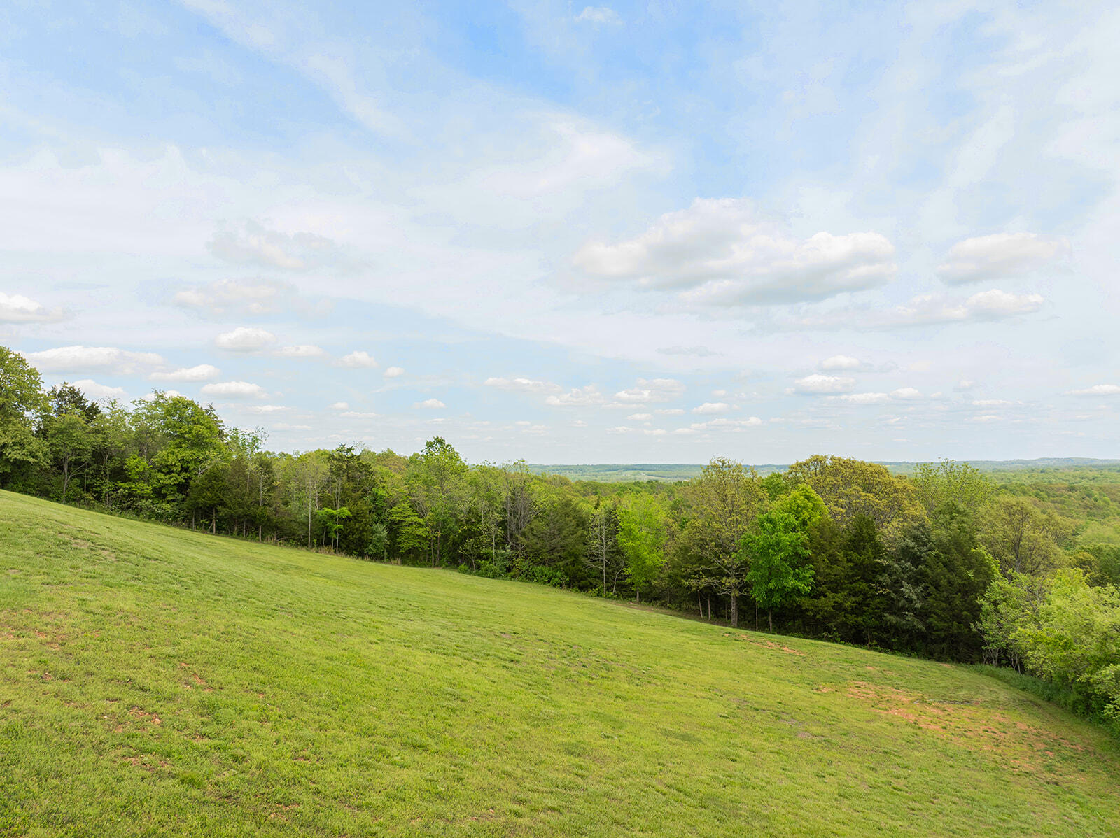 9099 Holly Property Photo 61