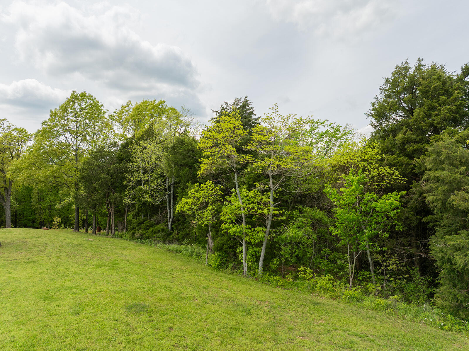 9099 Holly Property Photo 62