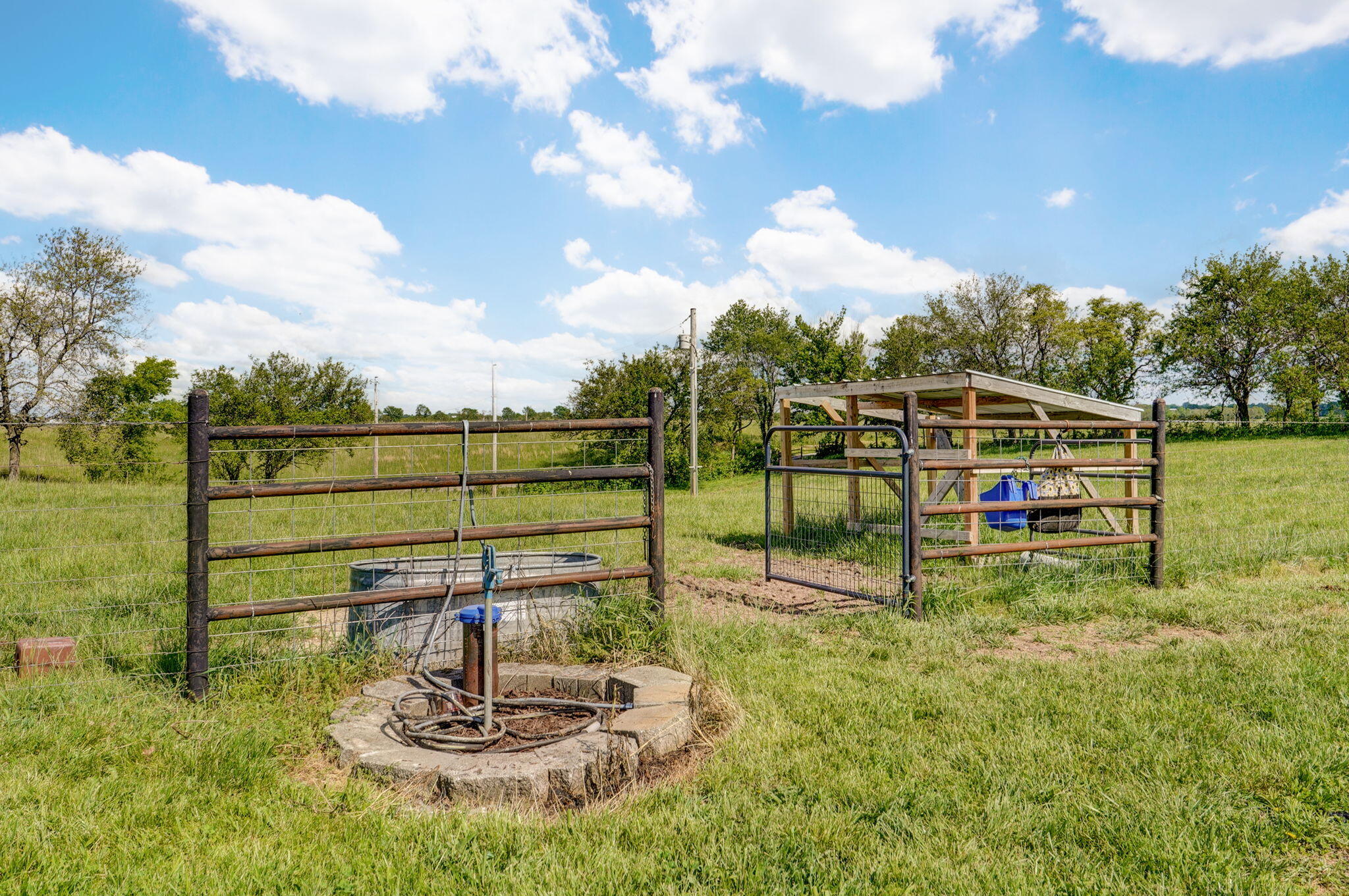 247 Davis Road Property Photo 50