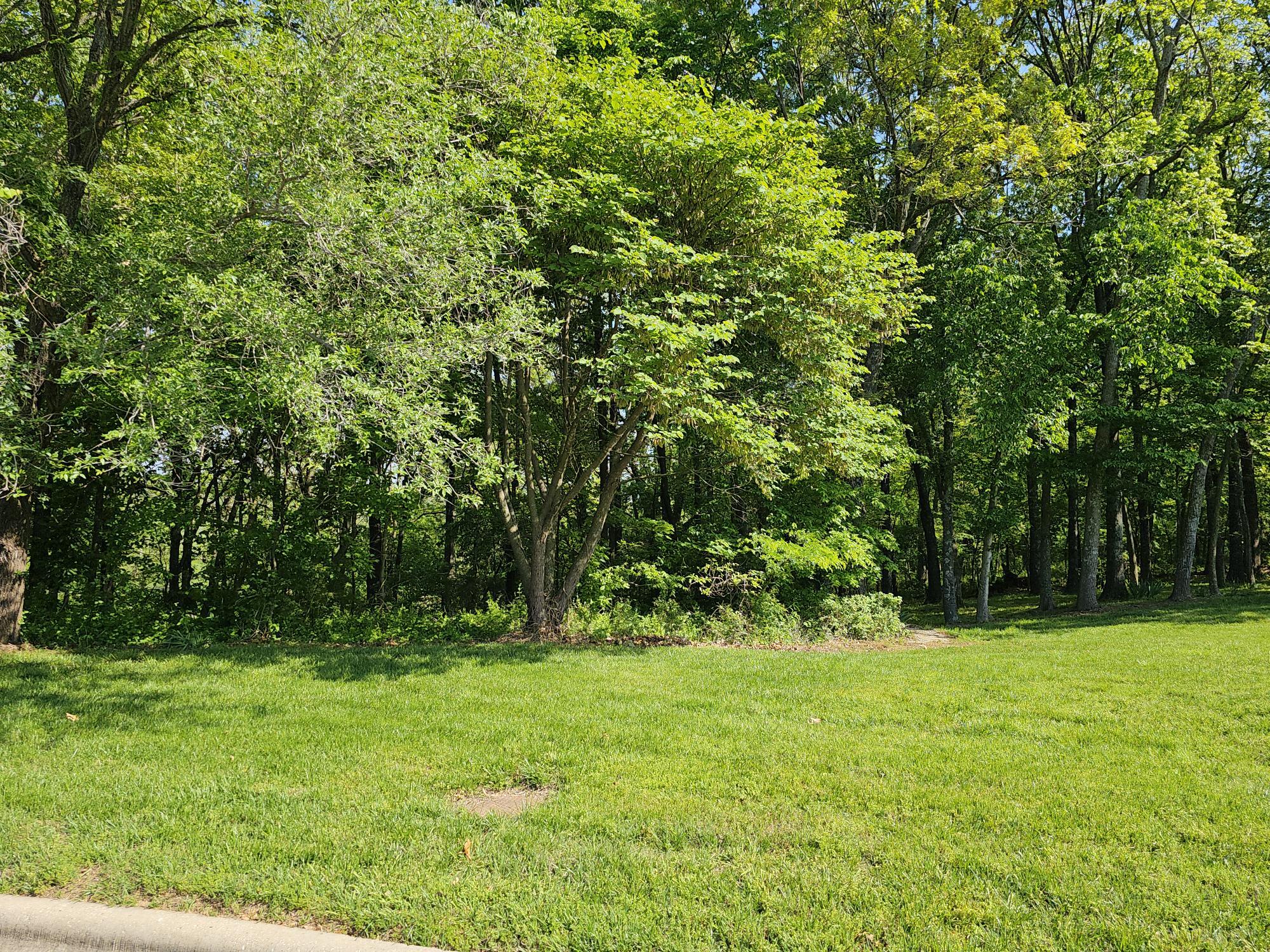 Lot 5 Fox Haven Drive Property Photo 1