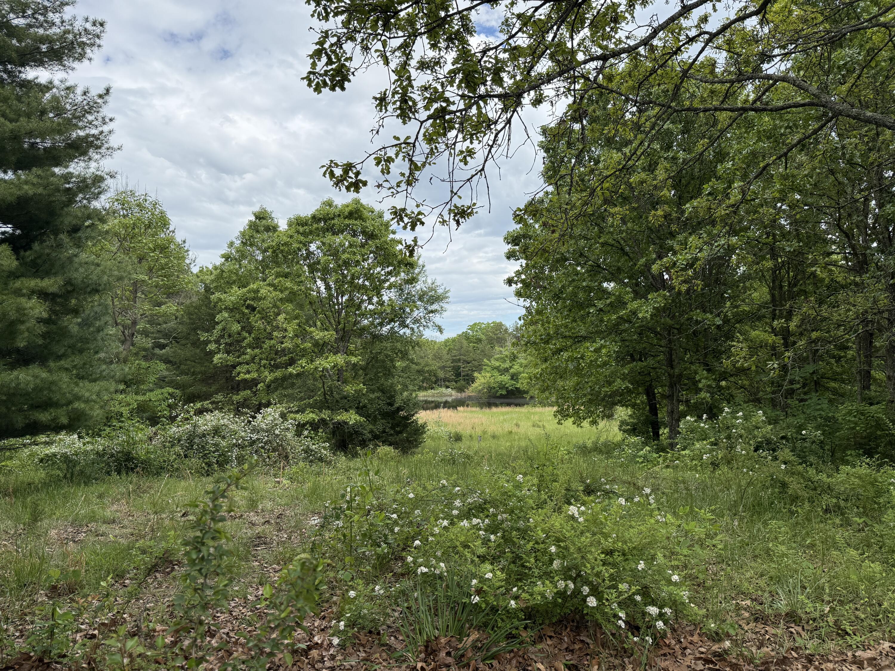 2777 State Highway 14 Property Photo 30