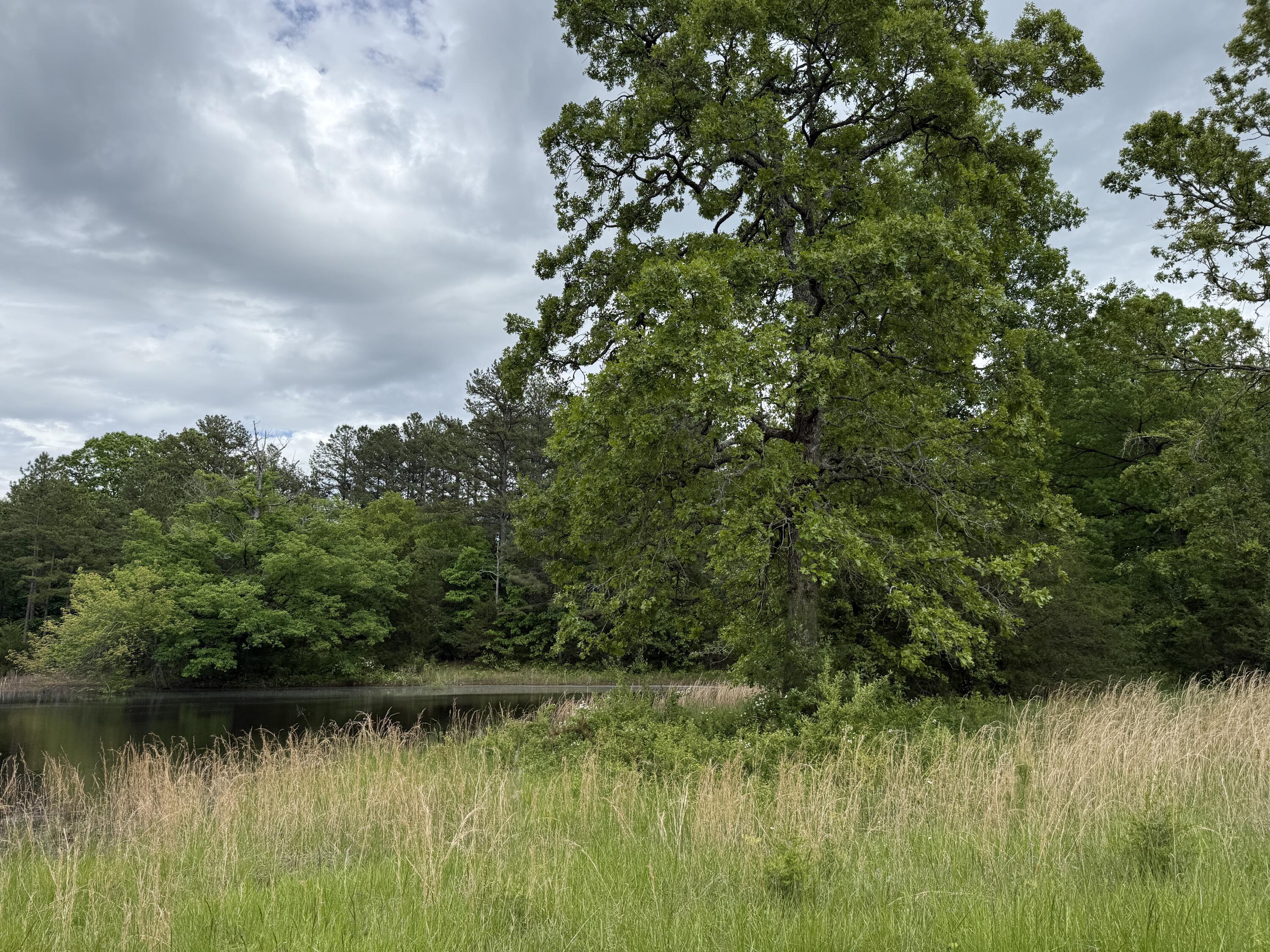 2777 State Highway 14 Property Photo 38