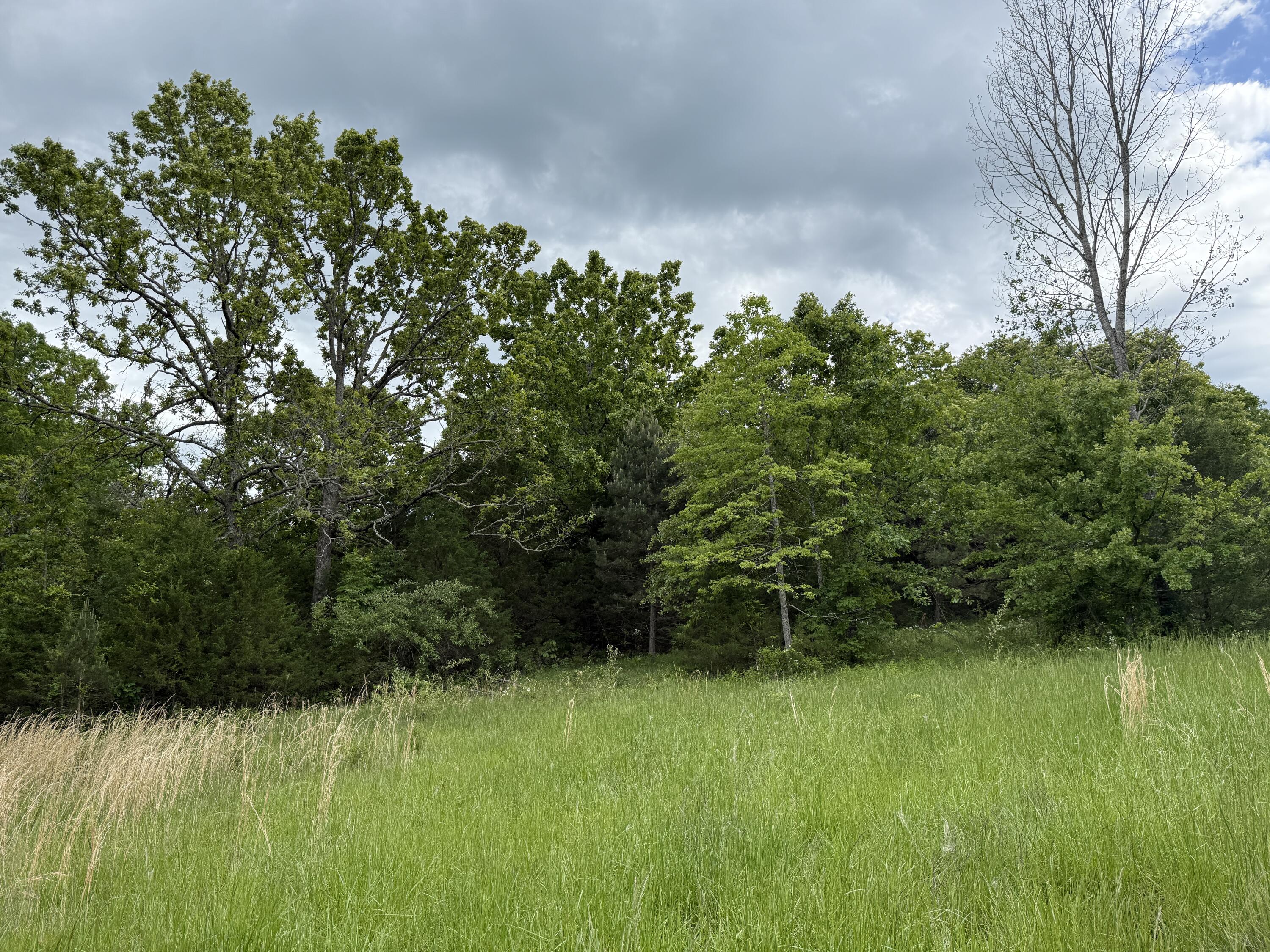 2777 State Highway 14 Property Photo 39
