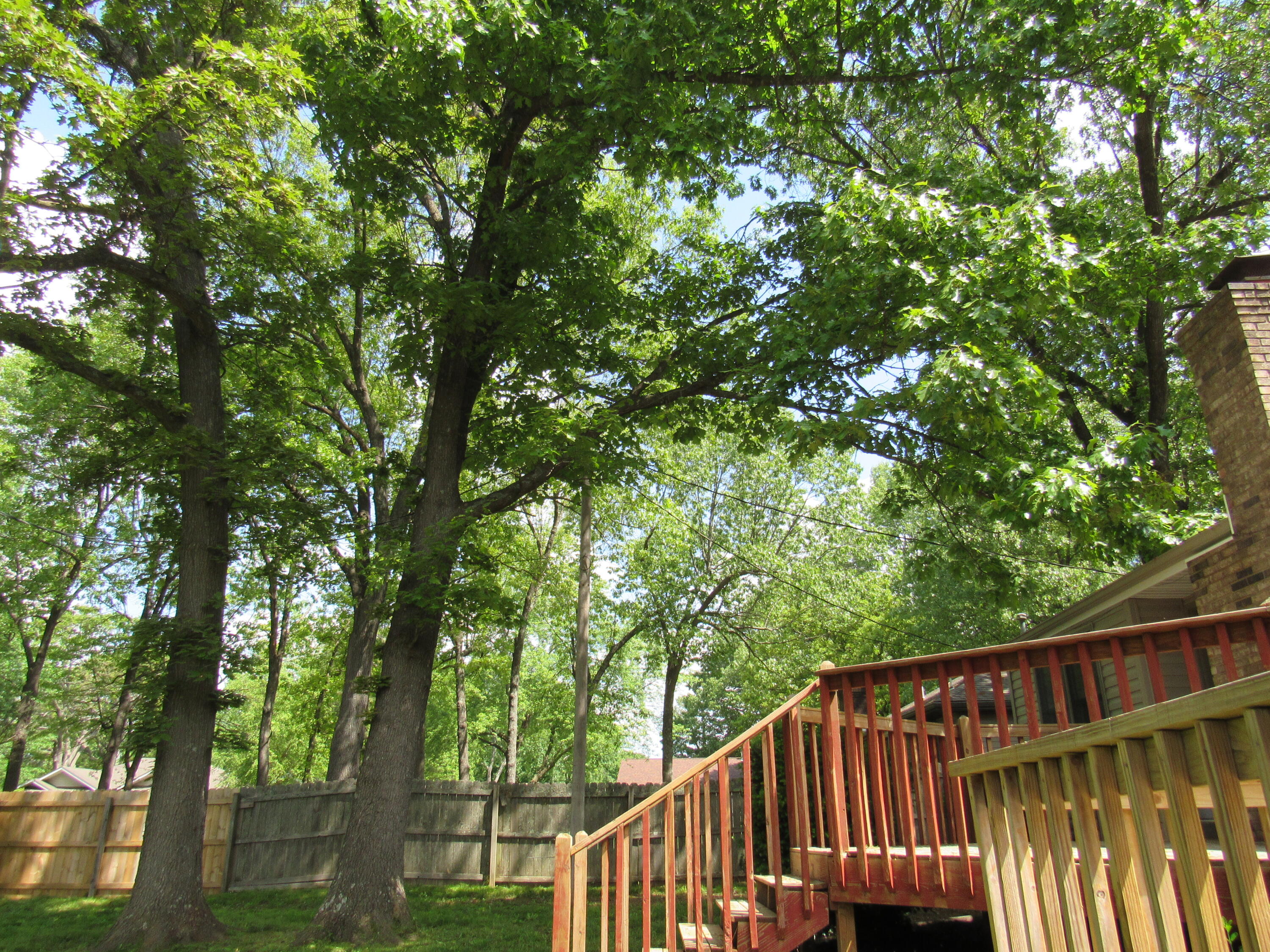 5755 South Morning Glory Lane Property Photo 33