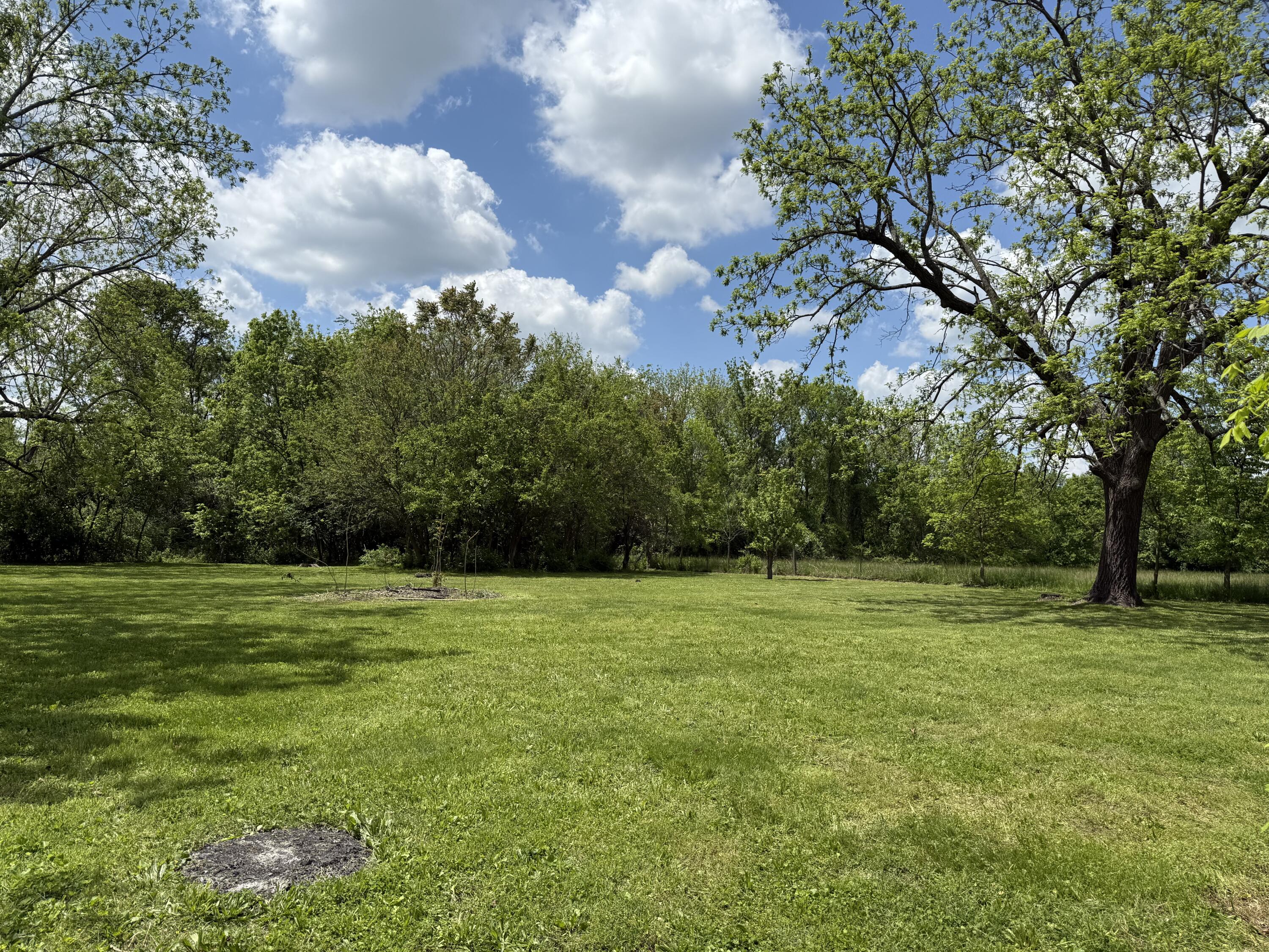 1133 North Dickerson Avenue Property Photo 30