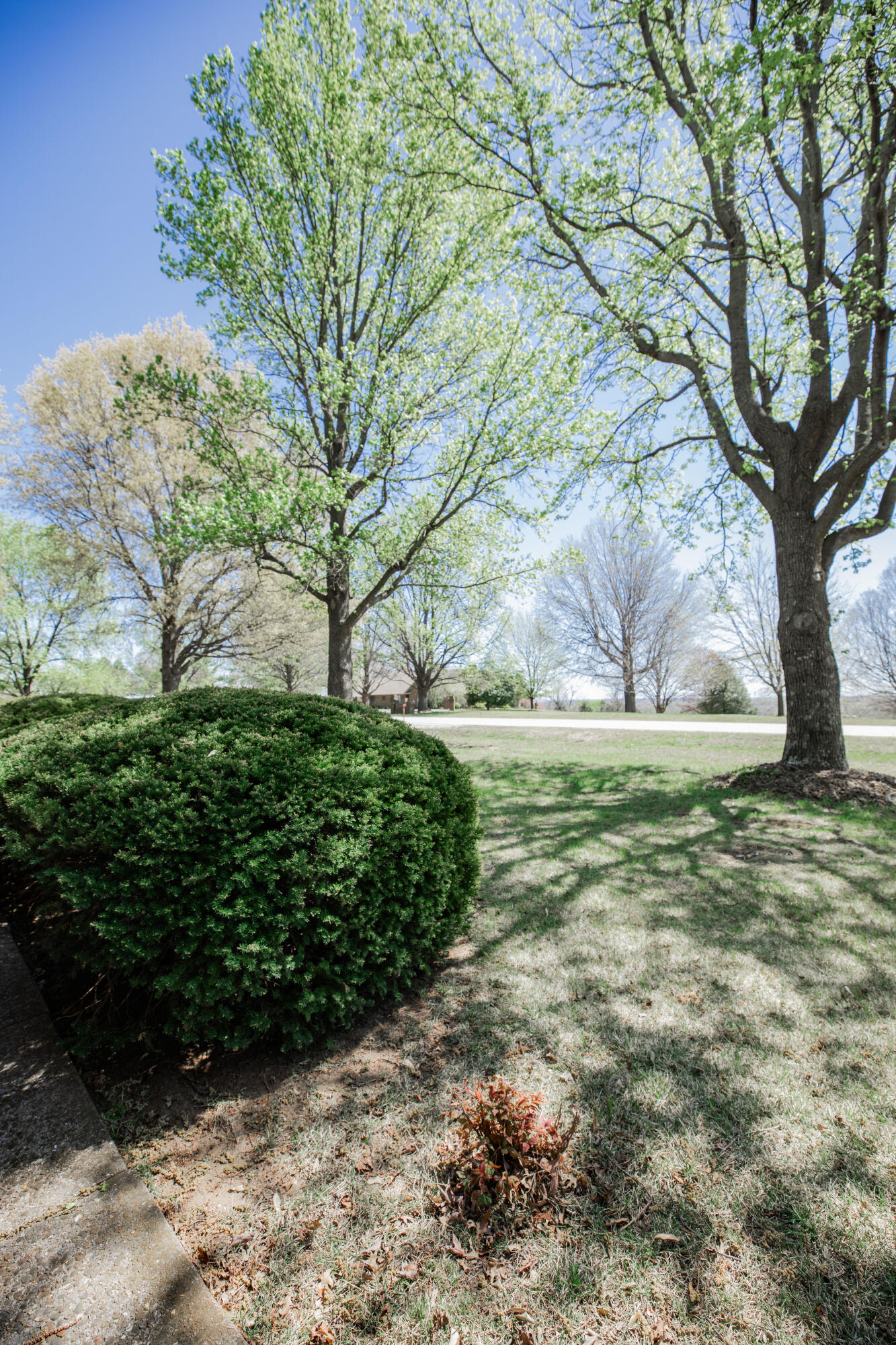713 Highway J Property Photo 50