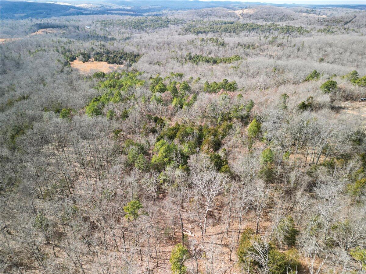 000 State Highway Ff Property Photo