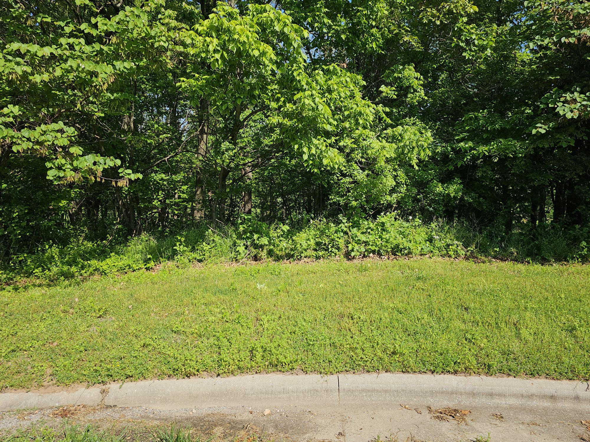 Lot 6 Fox Haven Drive Property Photo 2