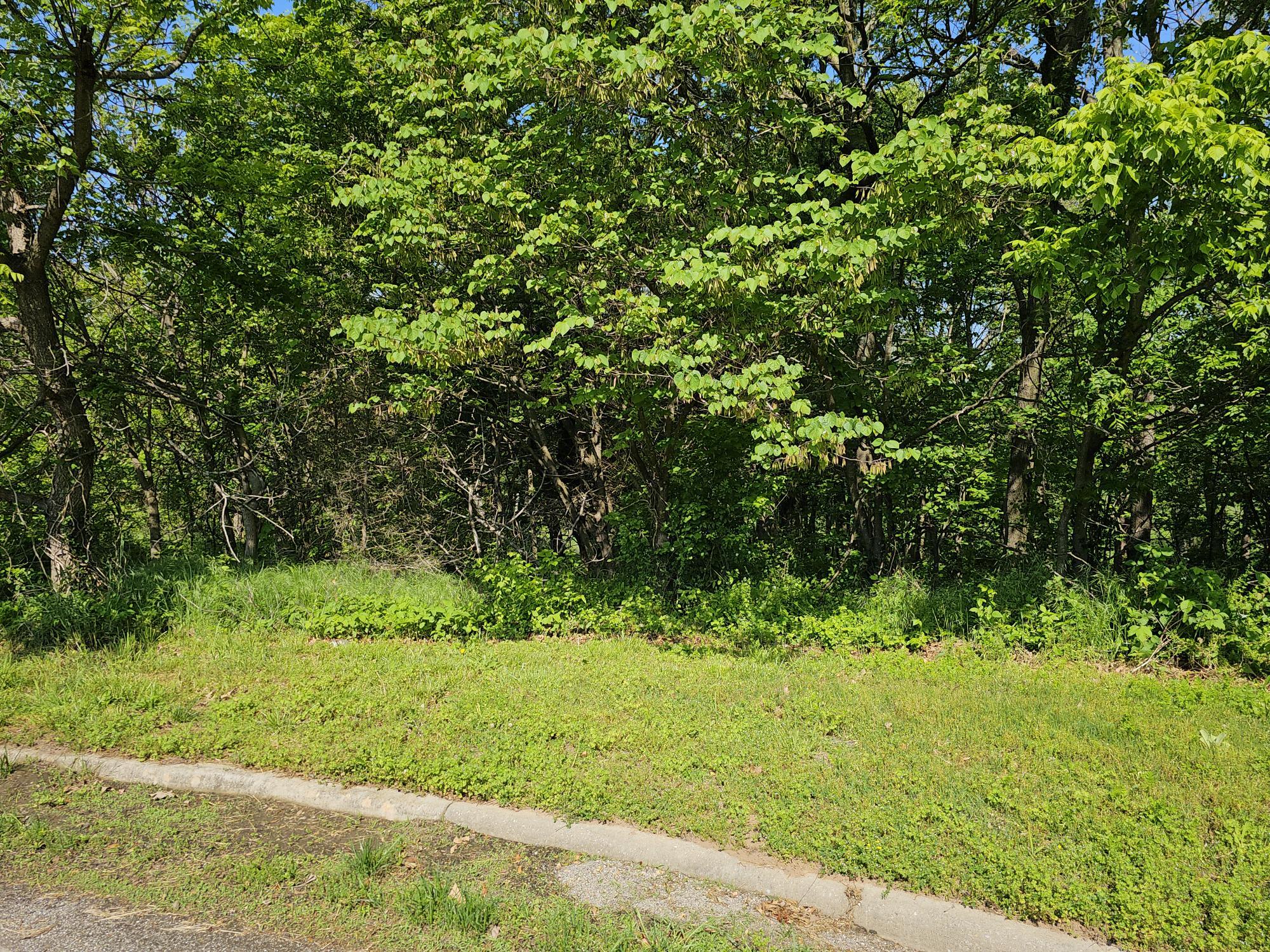 Lot 6 Fox Haven Drive Property Photo 3