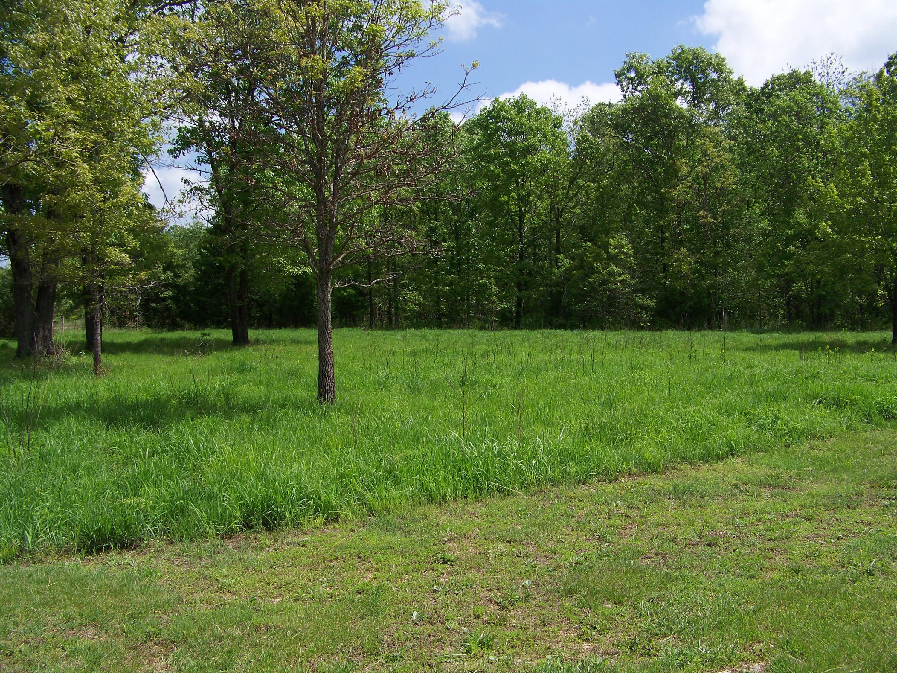 7000 Cr 3210 Property Photo 34