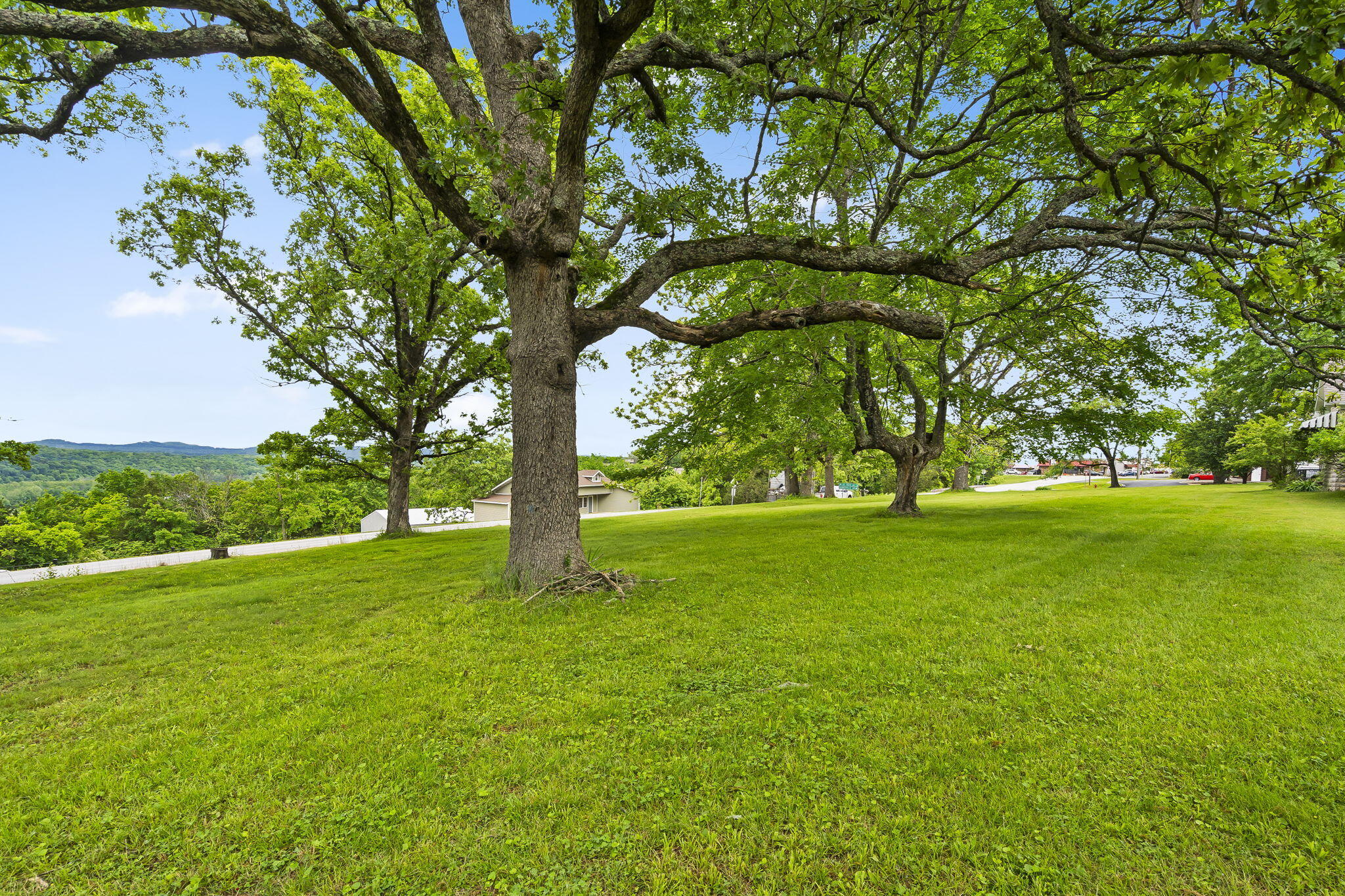 191 State Highway Y Property Photo 31