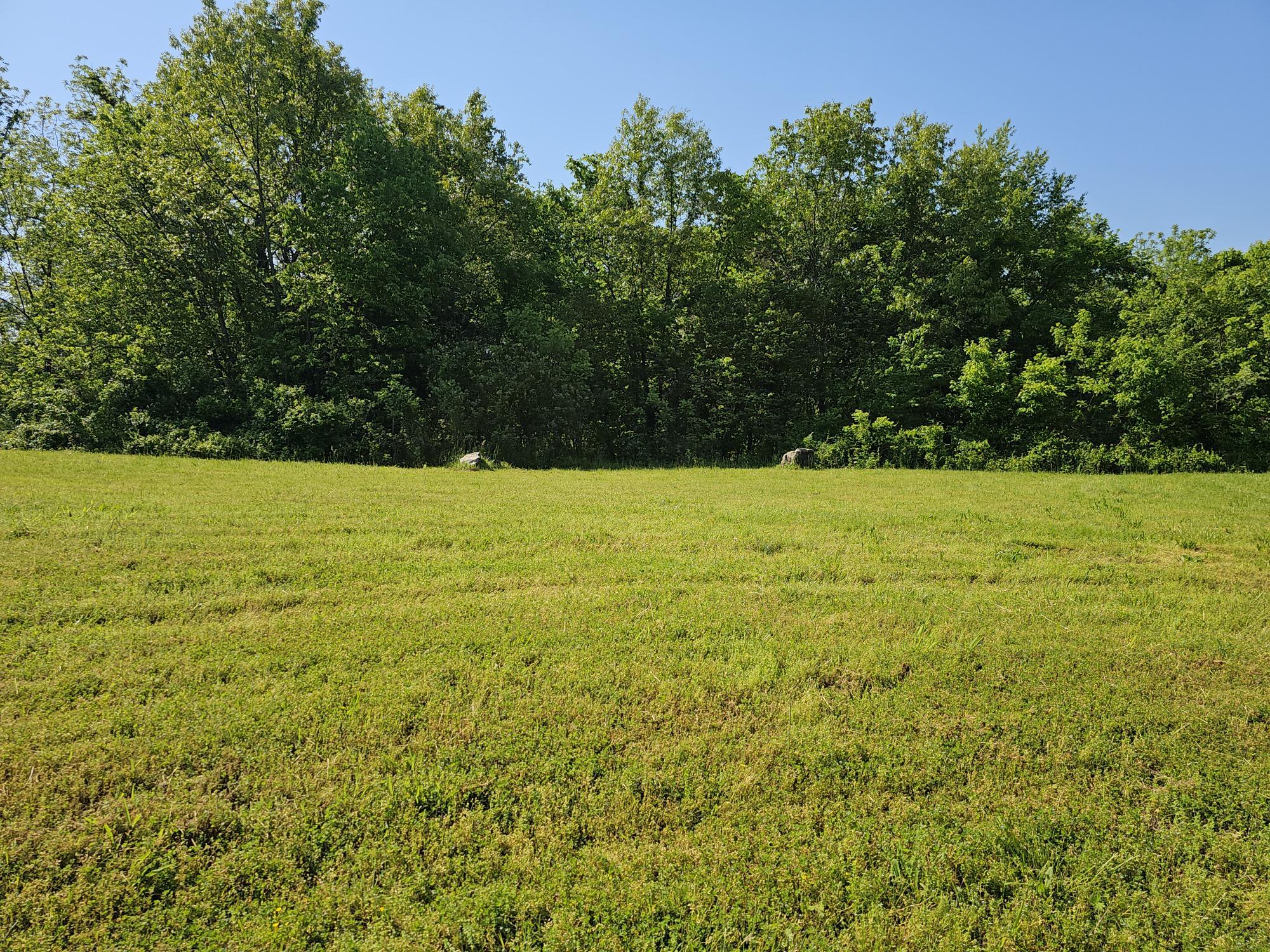 Lot 10 Fox Haven Drive Property Photo 1