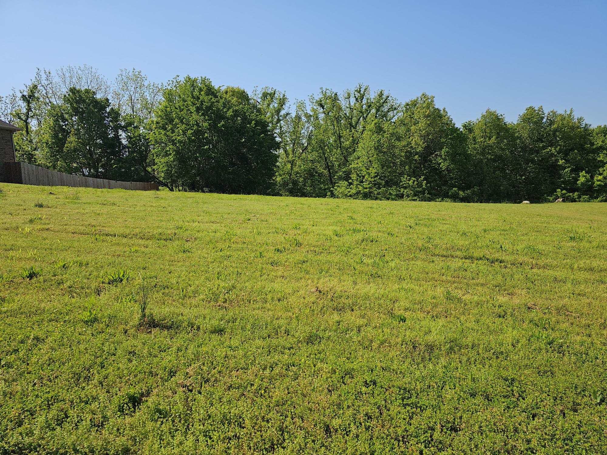 Lot 11 Fox Haven Drive Property Photo 3