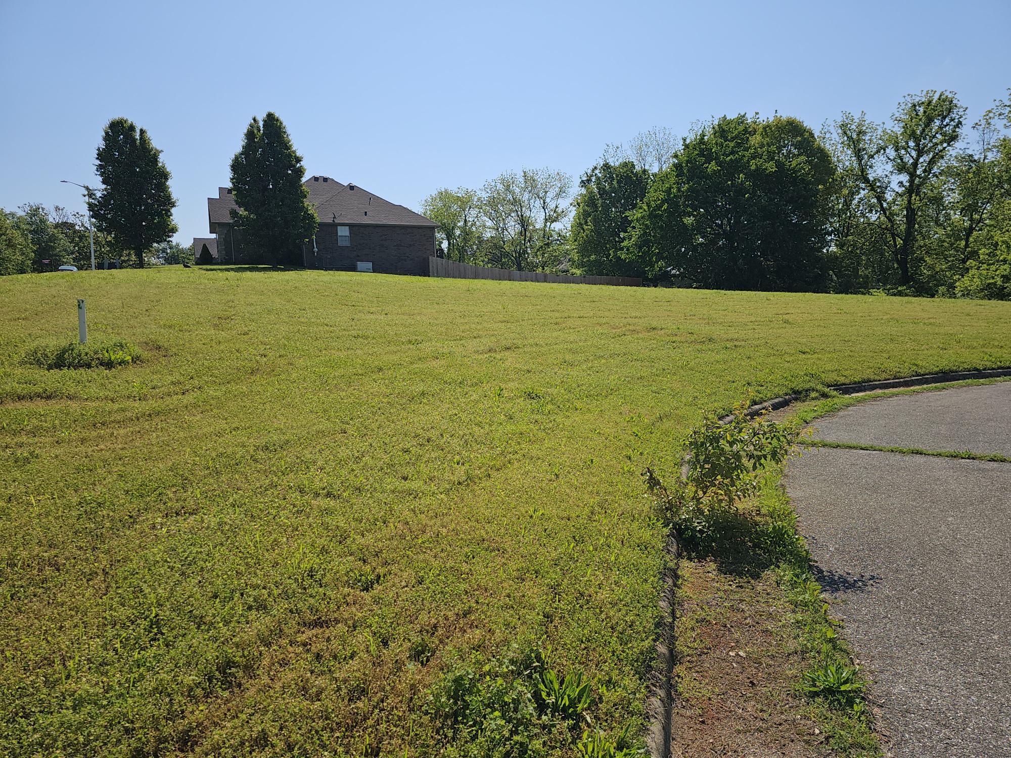 Lot 11 Fox Haven Drive Property Photo 4
