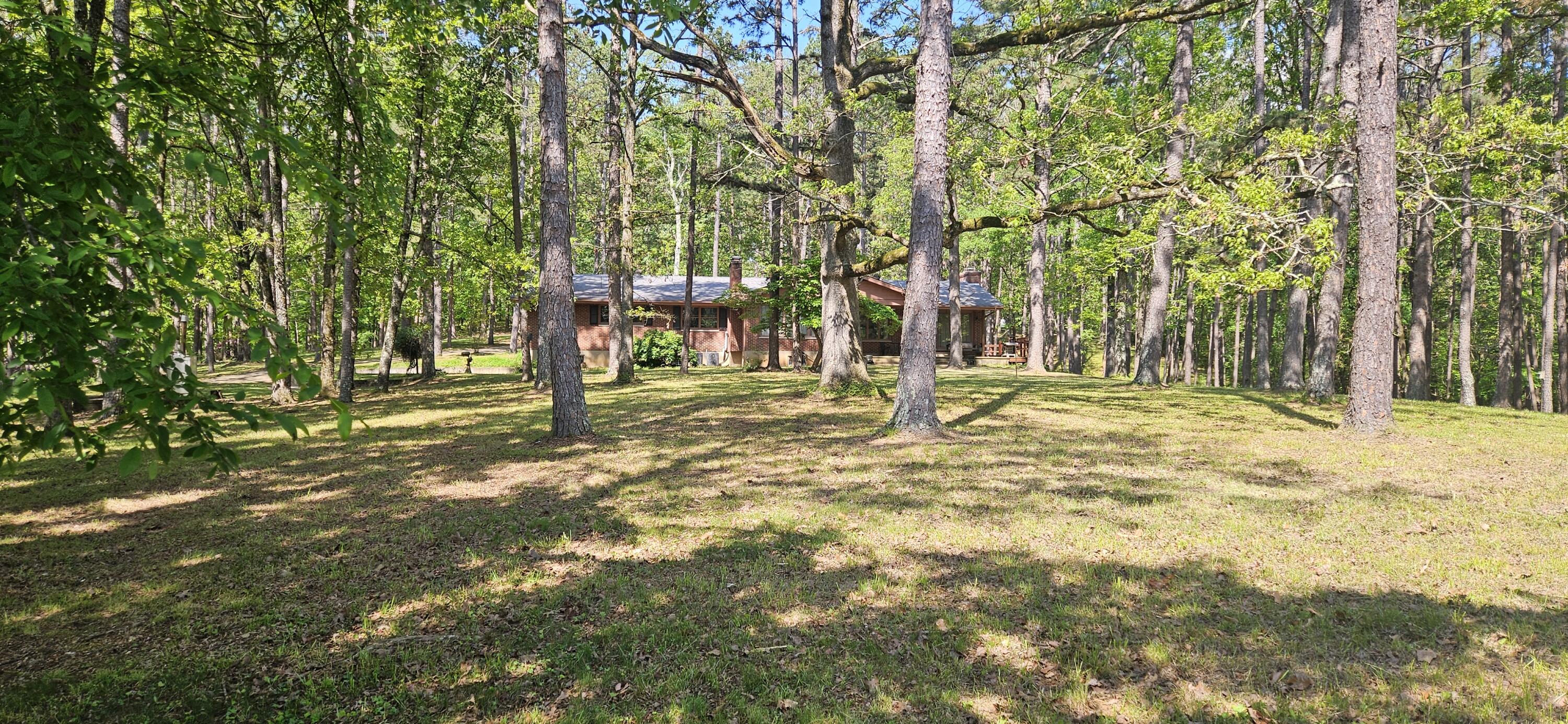 251 Rays Road Property Photo 5
