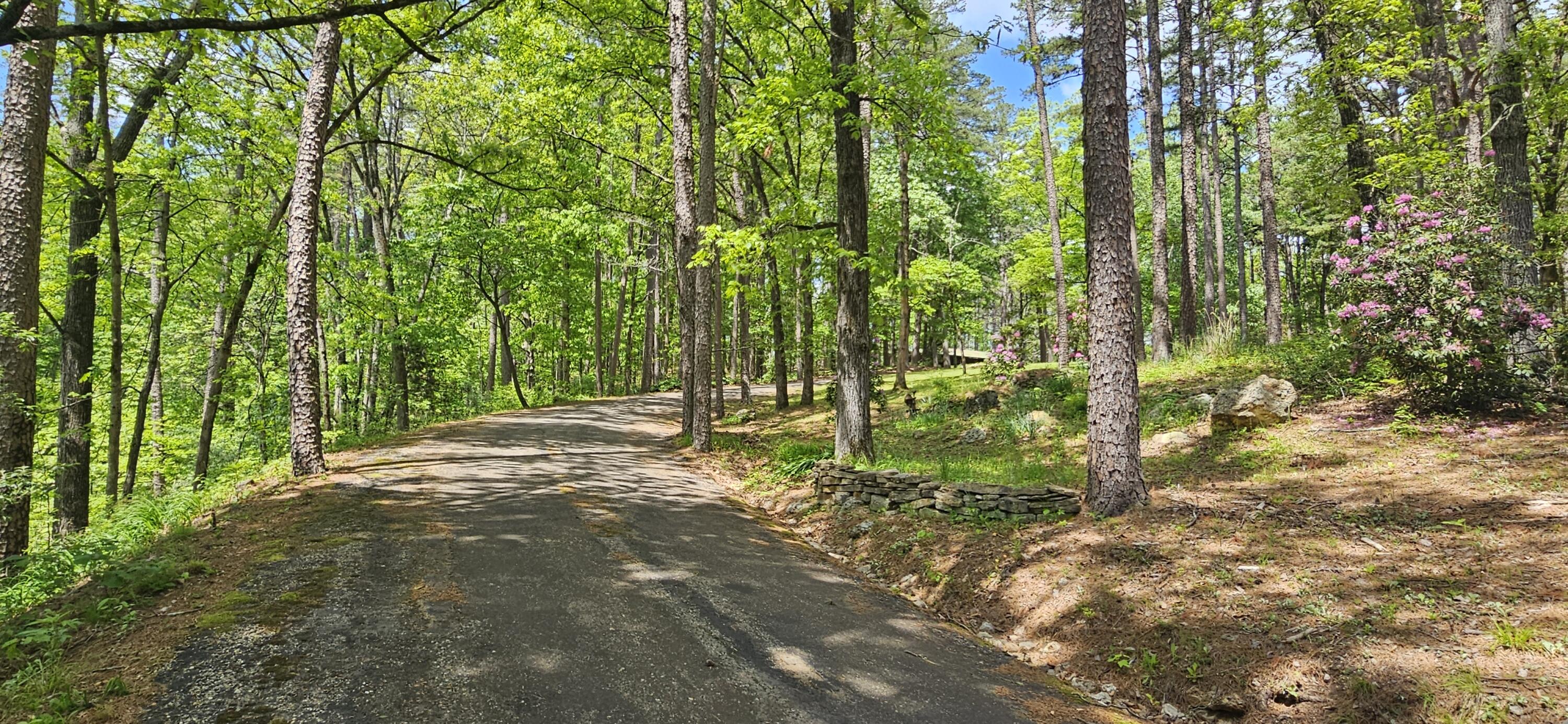 251 Rays Road Property Photo 45