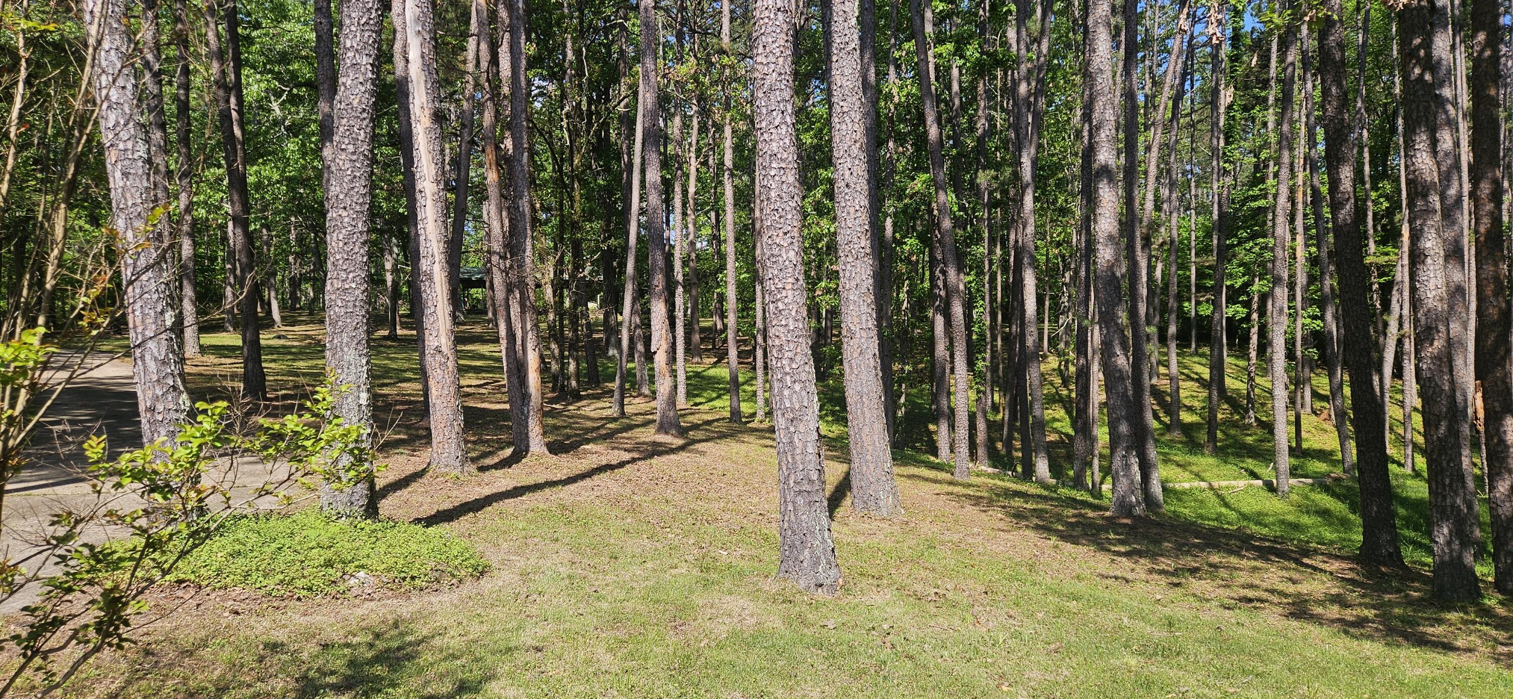 251 Rays Road Property Photo 48