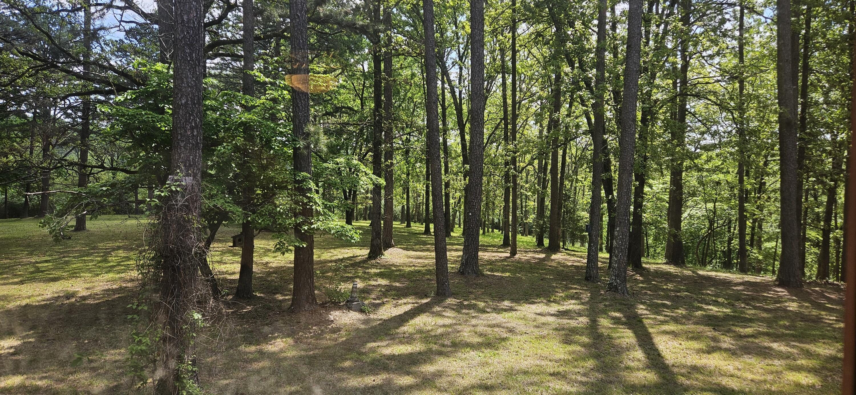 251 Rays Road Property Photo 49