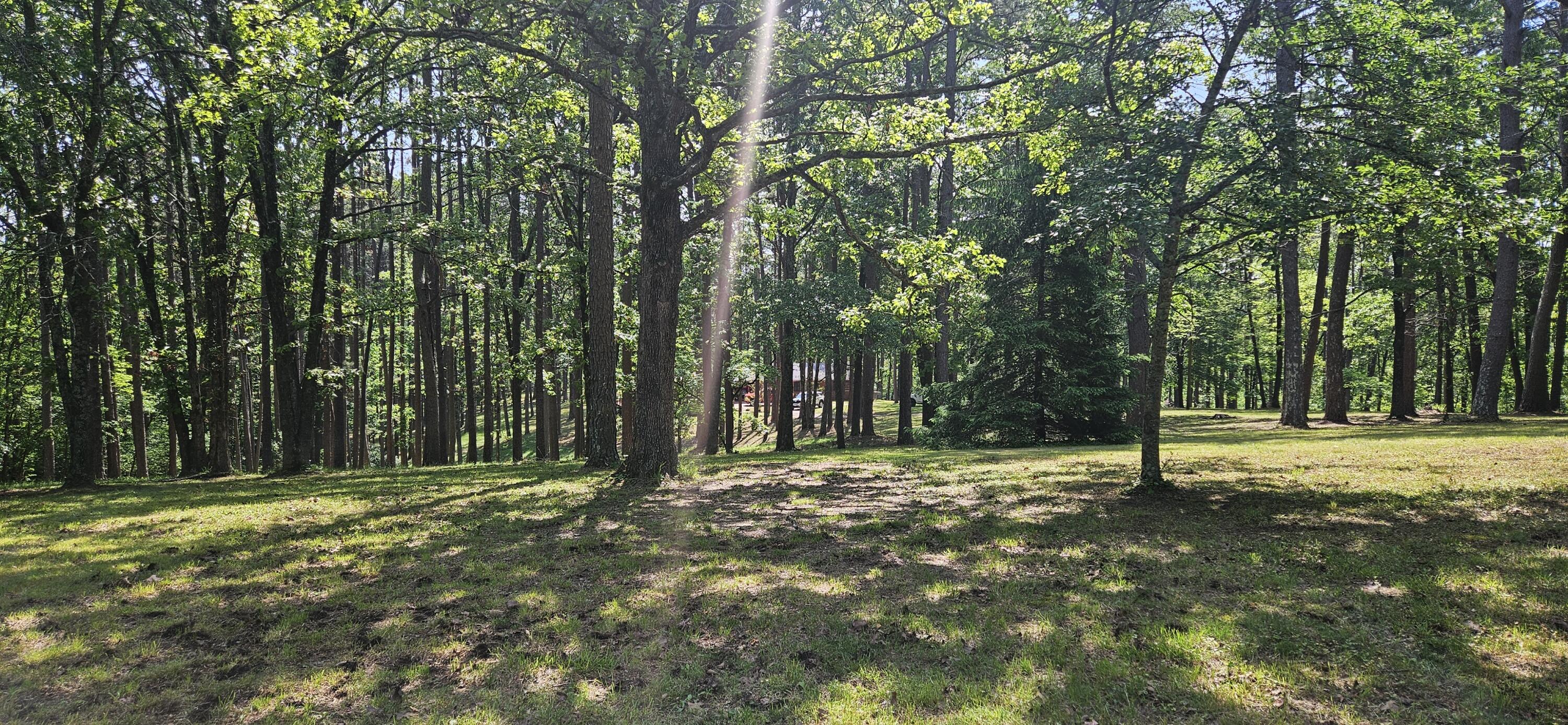 251 Rays Road Property Photo 51