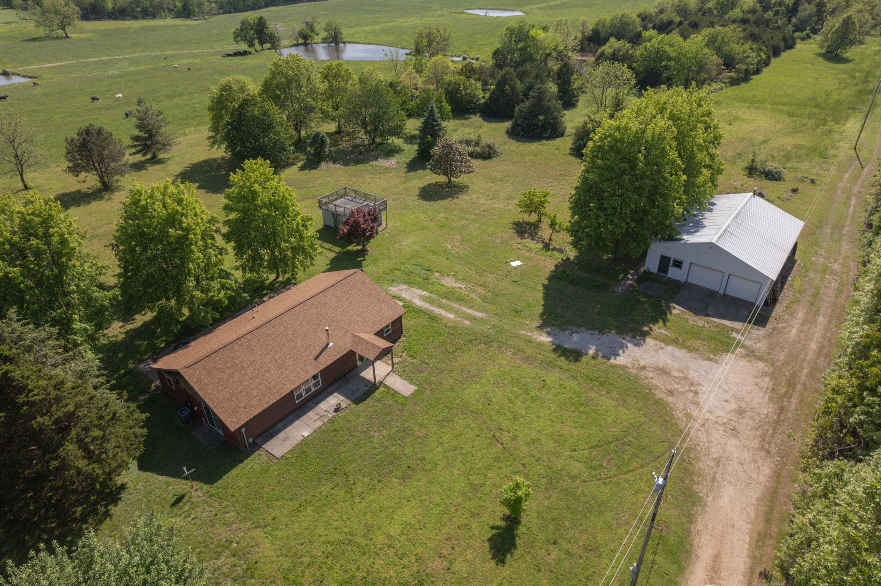 4293 Farm Road 1020 Property Photo 29